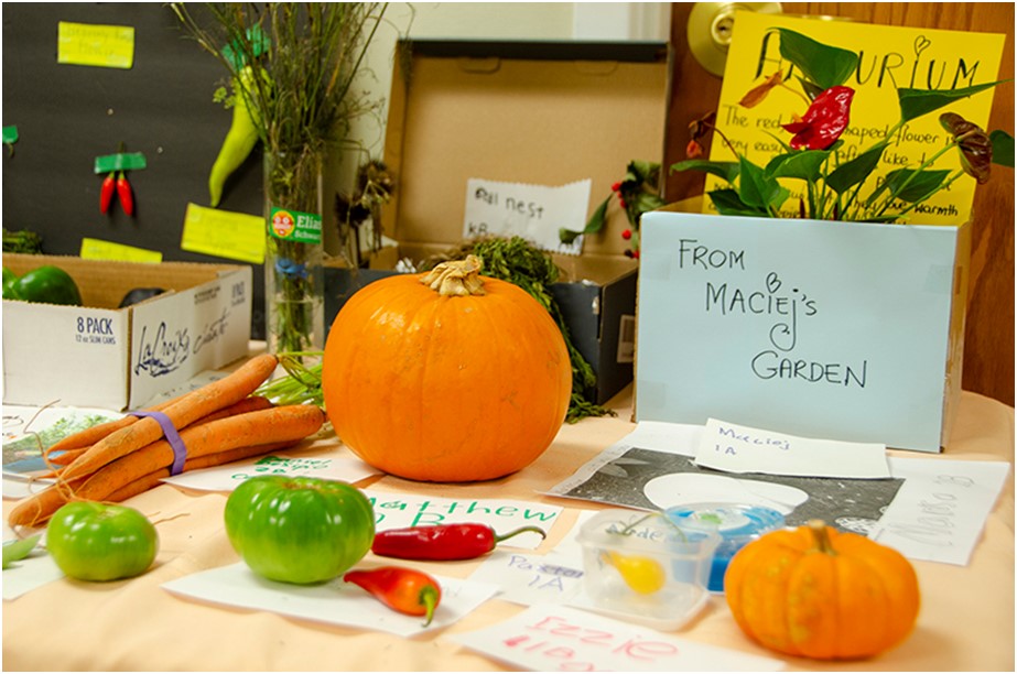 Lower School Harvest Show student exhibit 