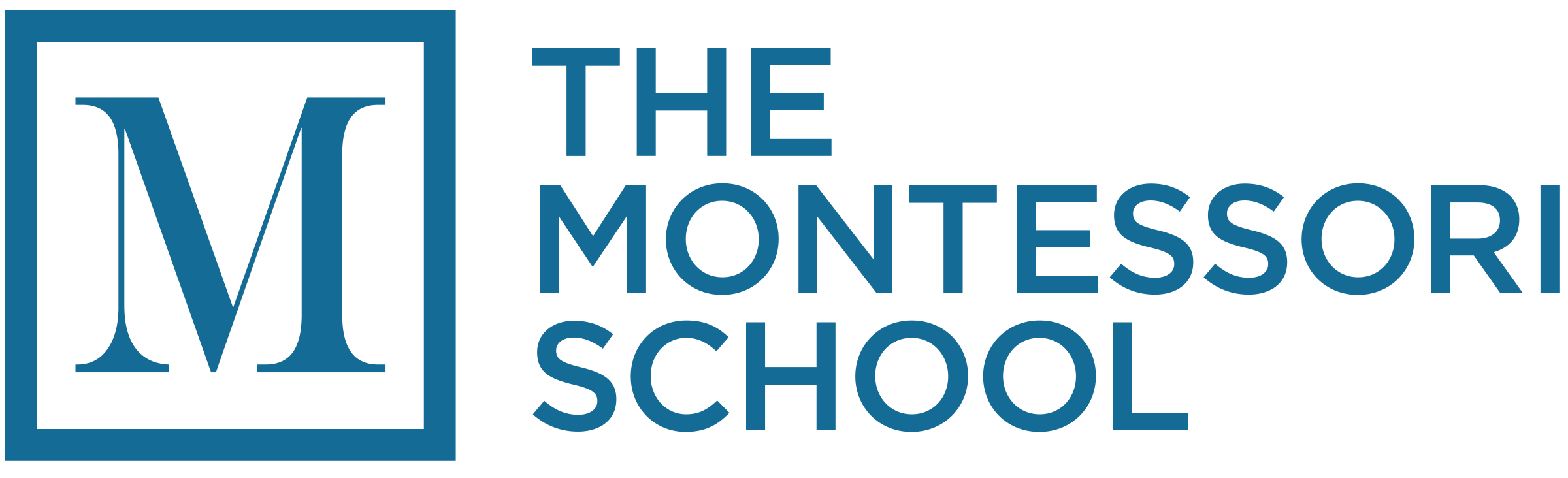 The Montessori School